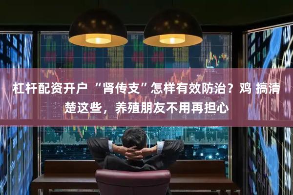 杠杆配资开户 “肾传支”怎样有效防治？鸡 搞清楚这些，养殖朋友不用再担心