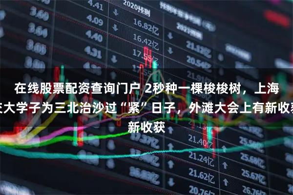 在线股票配资查询门户 2秒种一棵梭梭树，上海交大学子为三北治沙过“紧”日子，外滩大会上有新收获
